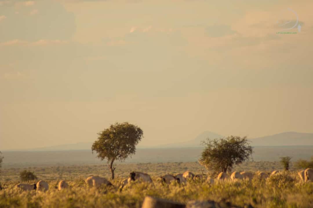 Amanya 3-Bedroom Hut Amboseli Luaran gambar